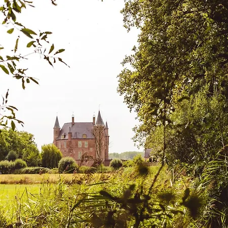 Thatched Surrounded By Nature Someren
